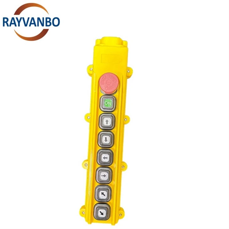 RAYVANBO pendant (5)